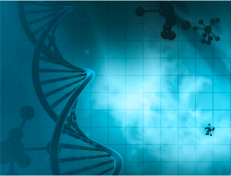 DNA Strand from Partners RISC site